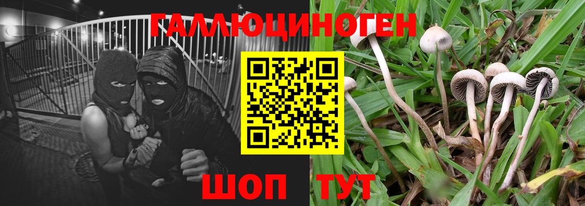 Псилоцибиновые грибы Magic Shrooms Якутск