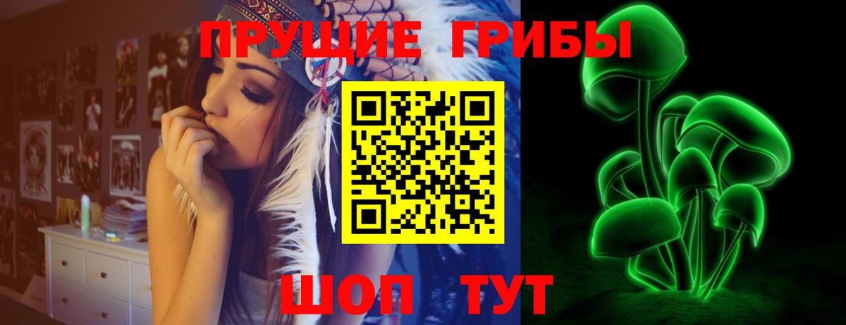 Псилоцибиновые грибы мицелий  Вход с VPN  где продают наркотики  Якутск 